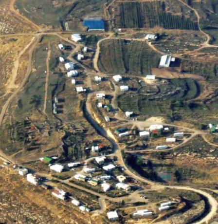 خاص| المستوطنون يصعّدون في الضفة.. 443 اعتداء خلال شهر ومخاوف من تهجير واسع