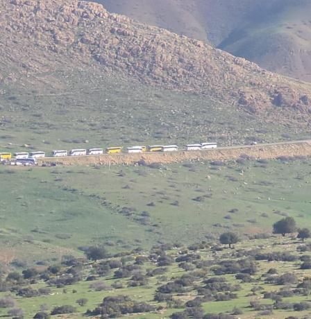 مئات المستوطنين يقتحمون مناطق مختلفة من الأغوار الشمالية