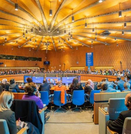 المجلس التنفيذي لمنظمة اليونسكو يعتمد قرارا بشأن غزة