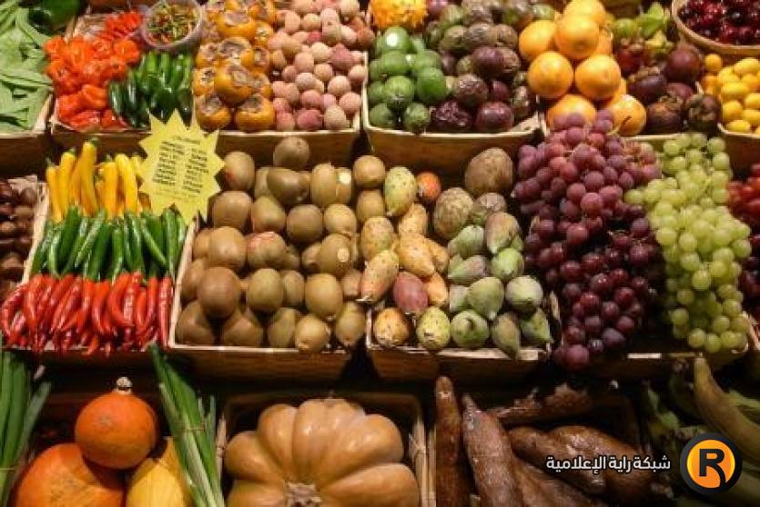 مواد غذائية - توضيحية