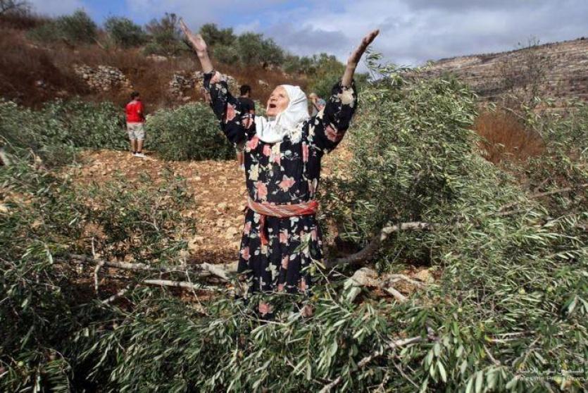 صورة أرشيفية