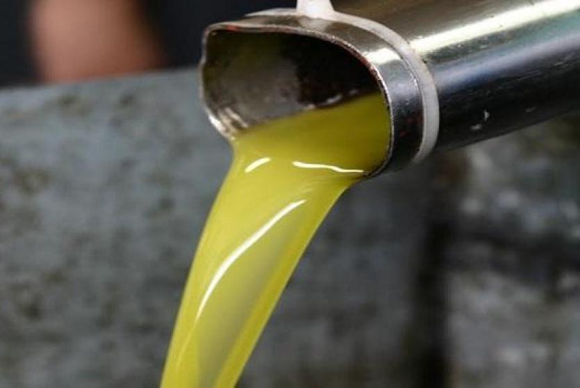 زيت الزيتون