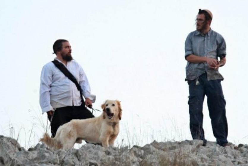 مستوطنون ارهابيون