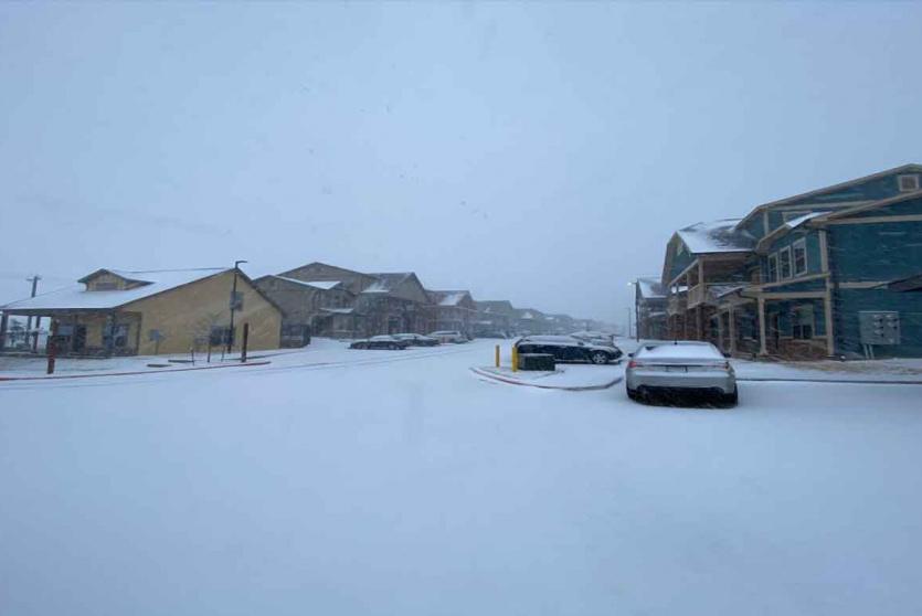 عاصفة ثلجية 