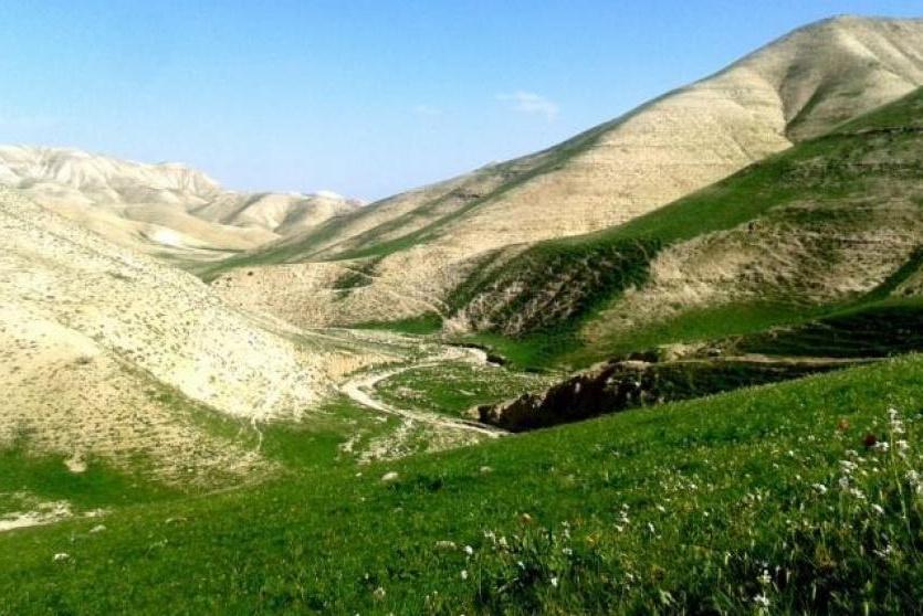 ربيع فلسطين