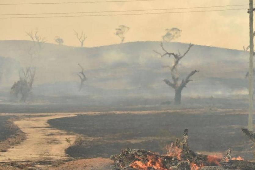 حرائق استراليا