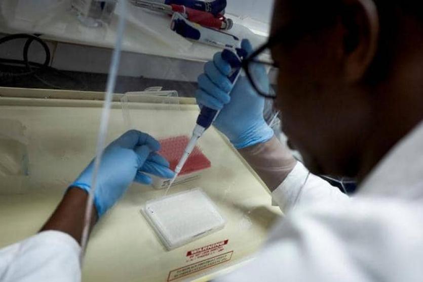 فحصات كورونا 