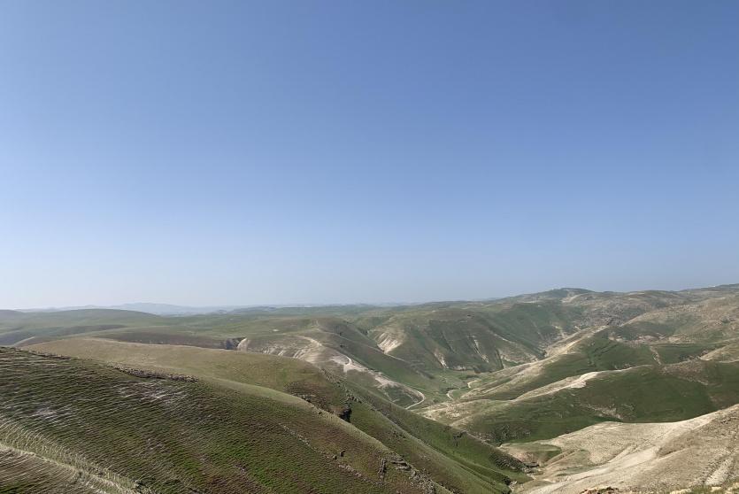 طبيعة فلسطين