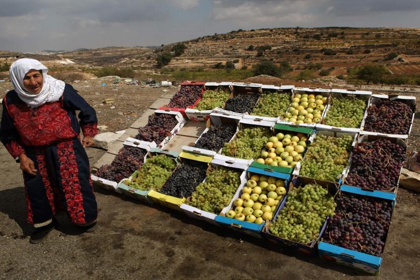 الزراعة