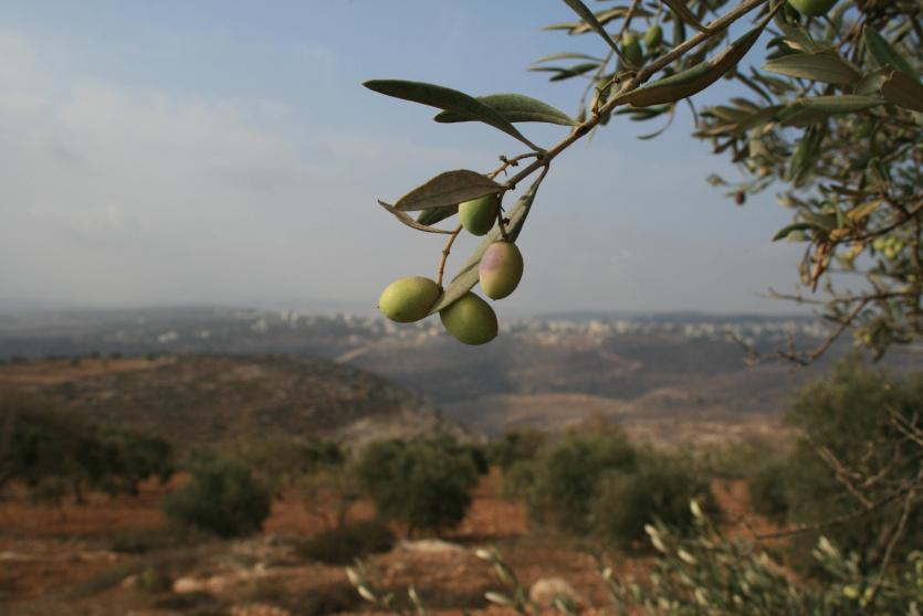 الطقس