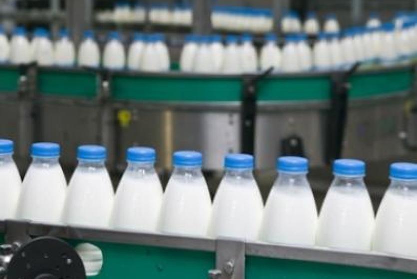 منتجات ألبان - ارشيف