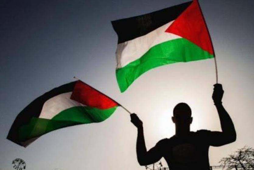 شاب يرفع علم فلسطين
