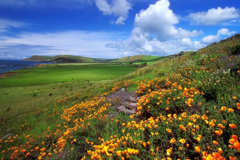  أجواء صافية