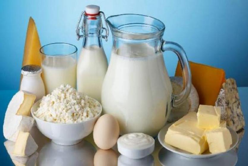 منتجات الألبان