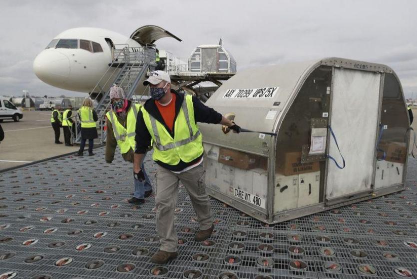 شحنات اللقاح