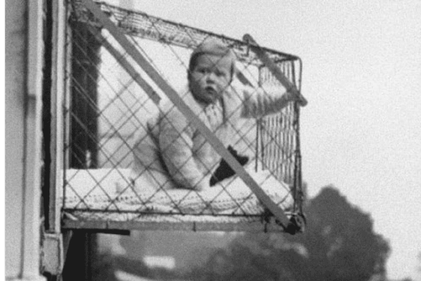 أقفاص الأطفال والشمس