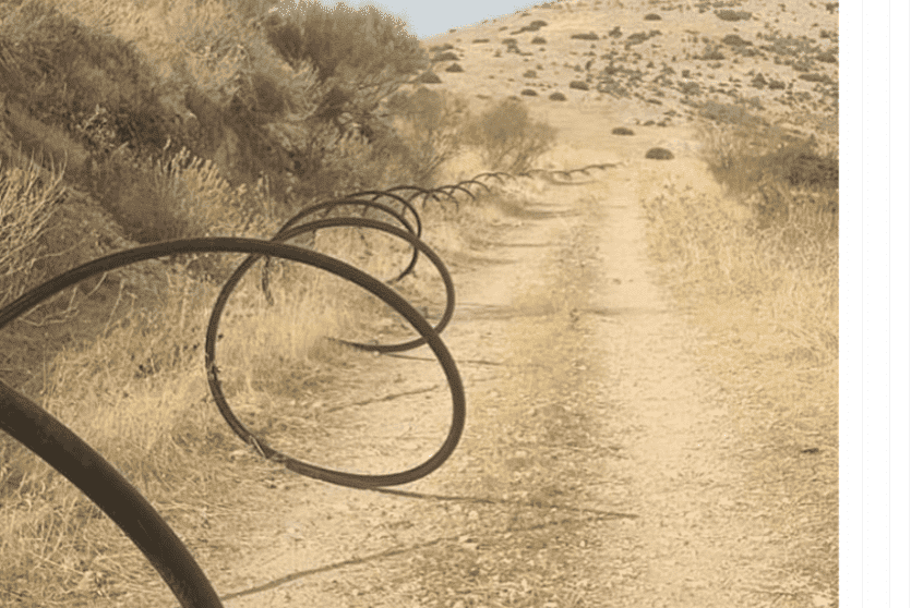 الأغوار الشمالية - أرشيف