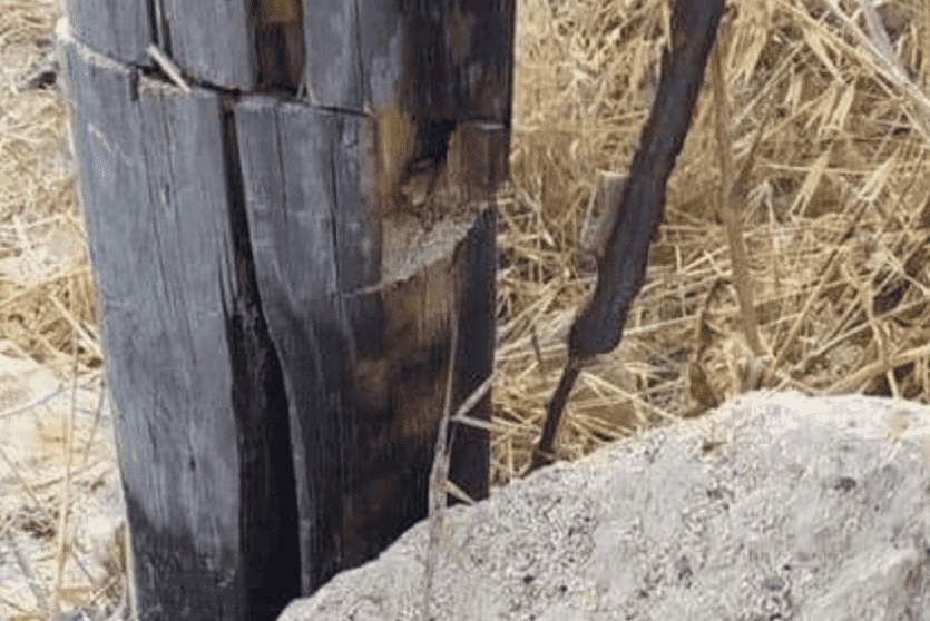 مستوطنون يقطعون أحد أعمدة الكهرباء في جالود