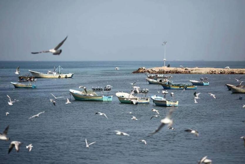طقس فلسطين