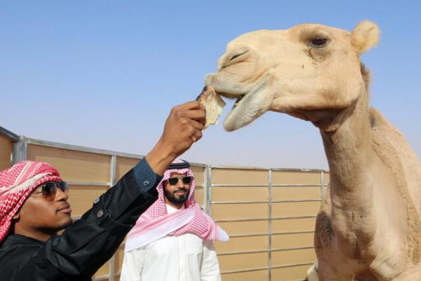 تعبيرية