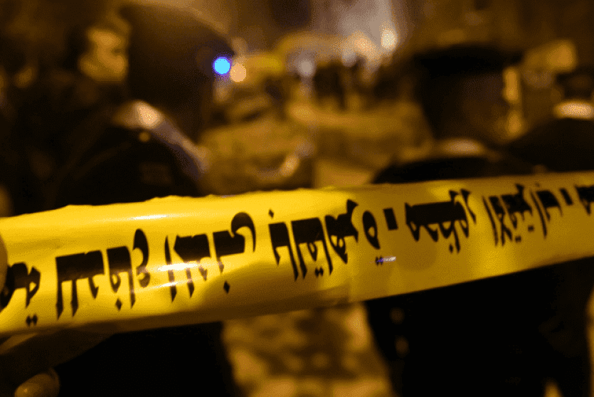 الشرطة المصرية