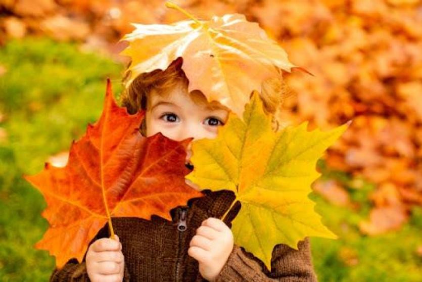 صورة تعبيرية