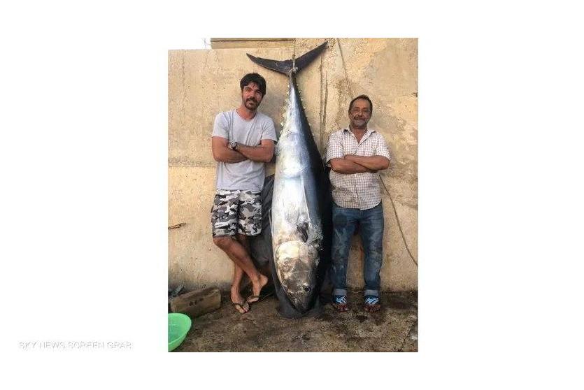 الصياد مع أكبر سمة تونة في لبنان