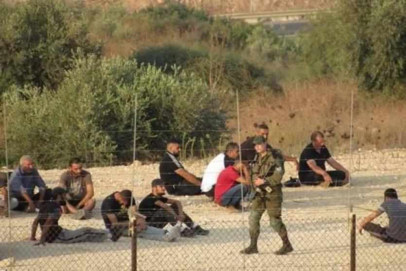 اعتقال عمال فلسطينيون صباح اليوم
