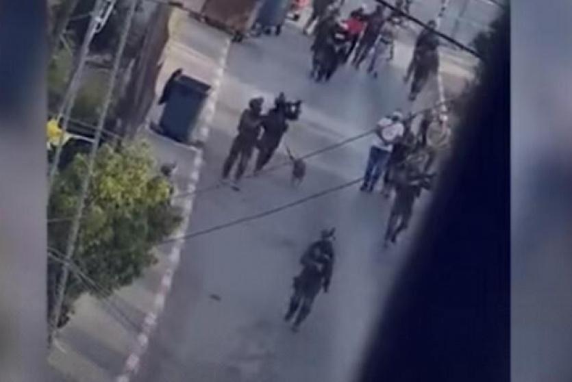 معتلقي سلواد