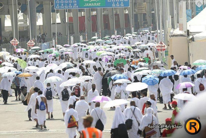 الحج مباشر