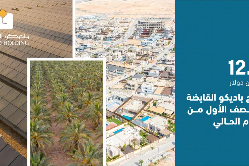 شركة باديكو