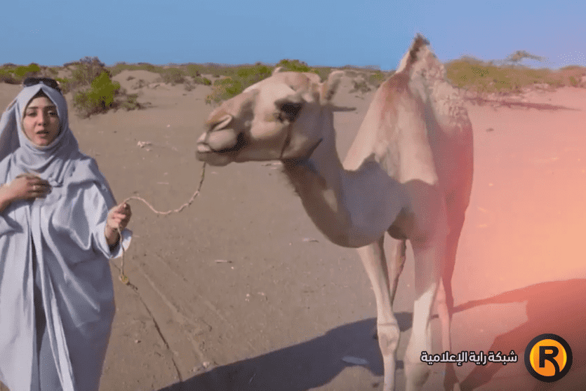  برنامج طائر السعيدة