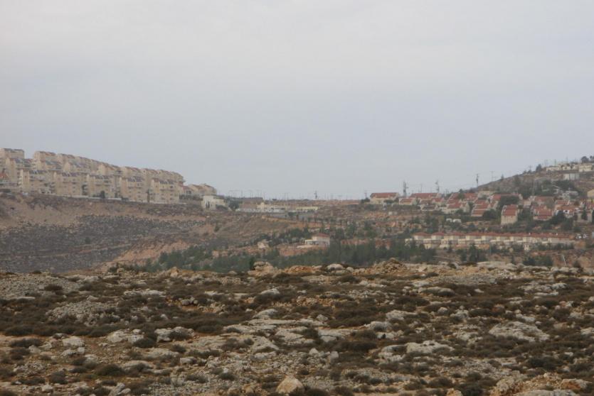 مستوطنة
