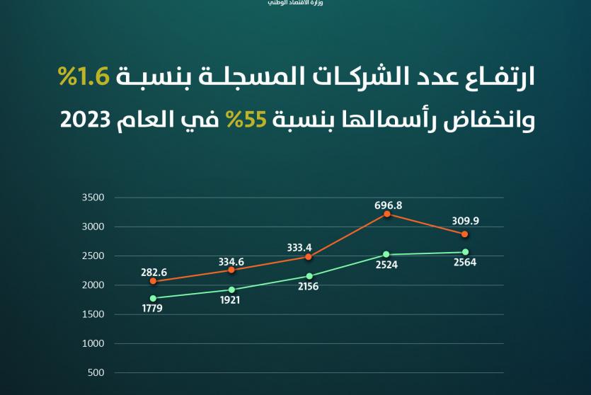 تسجيل 2564 شركة برأسمال 310 مليون دولار في العام 2023