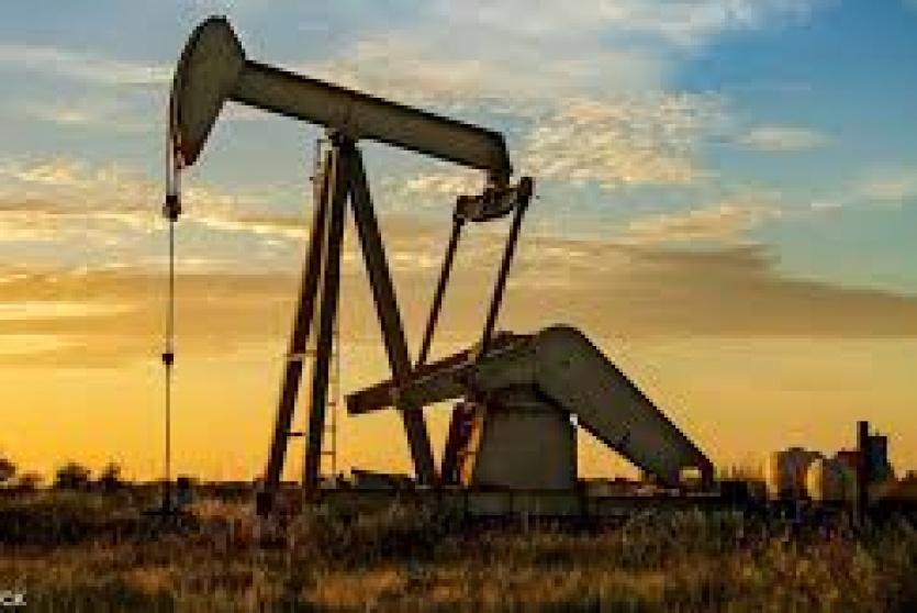 صورة توضيحية 