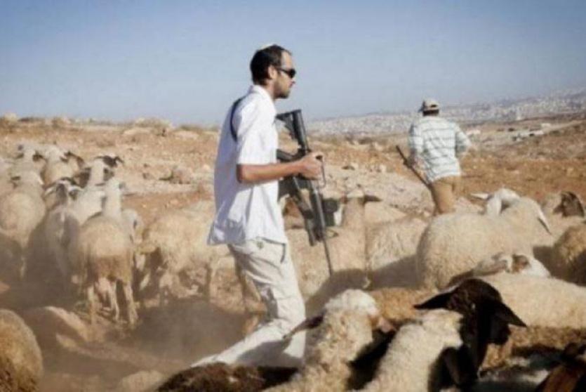 مستوطنون - صورة ارشيفية