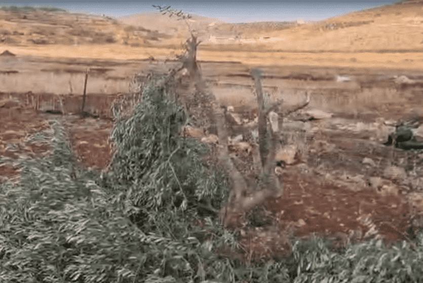 صورة أرشيفية