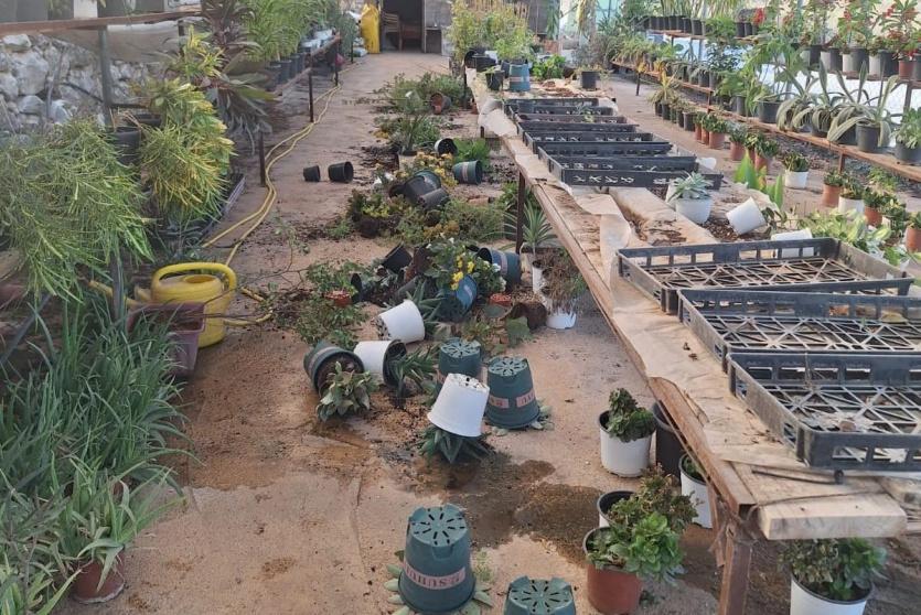 جانب من أضرار الاعتداءات على المشتل