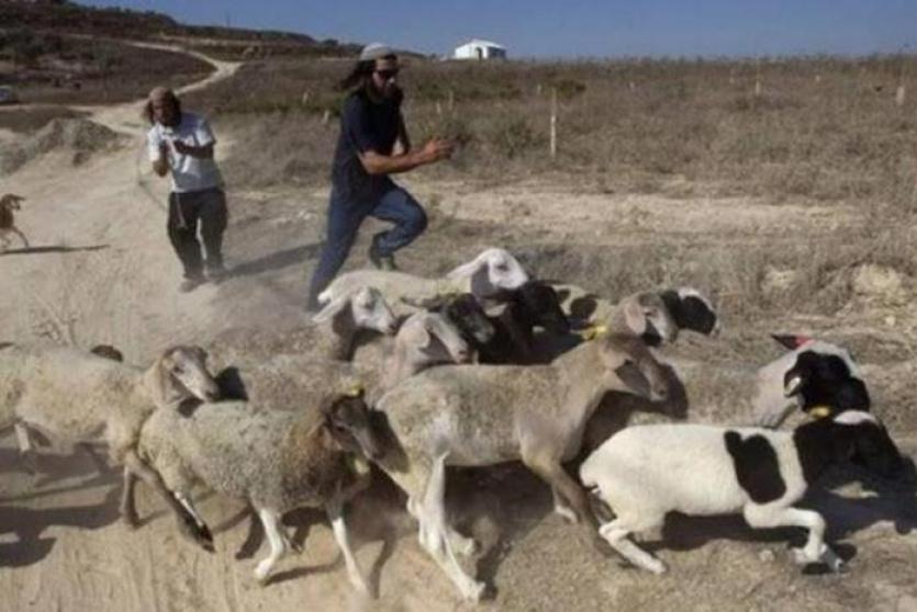 صورة ارشيفية