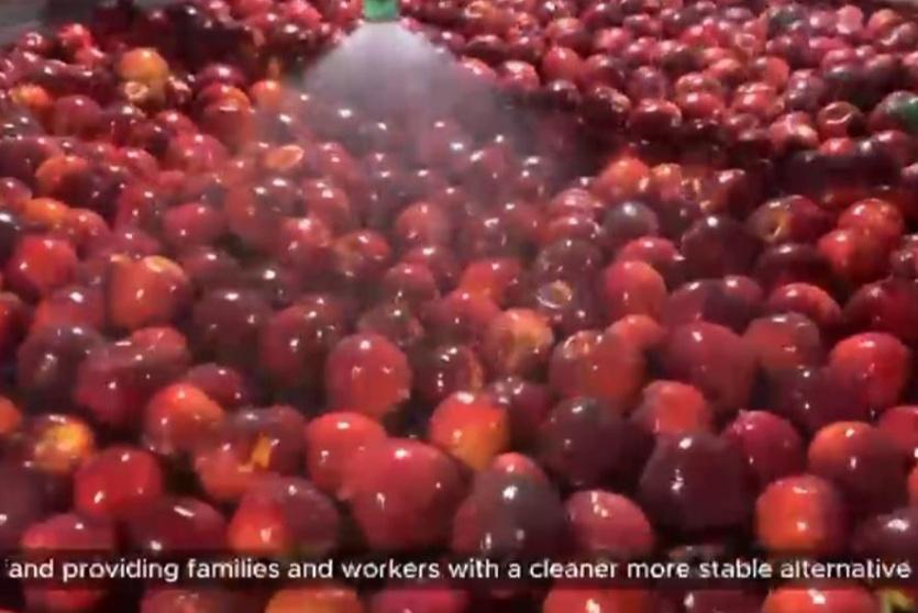 تركيب 16 جهاز هاضم حيوي في شركات الصناعات الغذائية بمحافظة طوباس