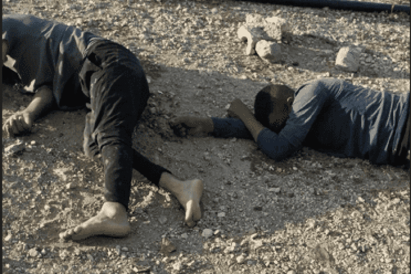 إصابة شابين في اعتداء للمستوطنين قرب الخان الأحمر جنوب أريحا