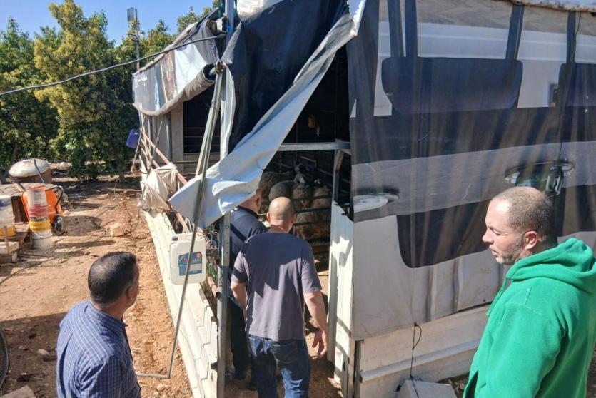 الاتحاد الأوروبي ينفذ جولة لمشاريع دعم صمود لمزارعين في طوباس وقلقيلية