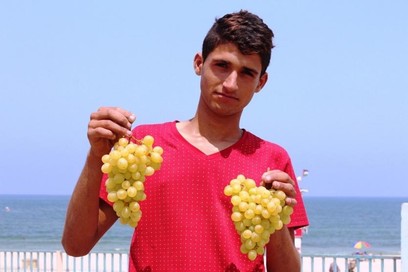 "عنب غزة" يغزو بيوت القطاع