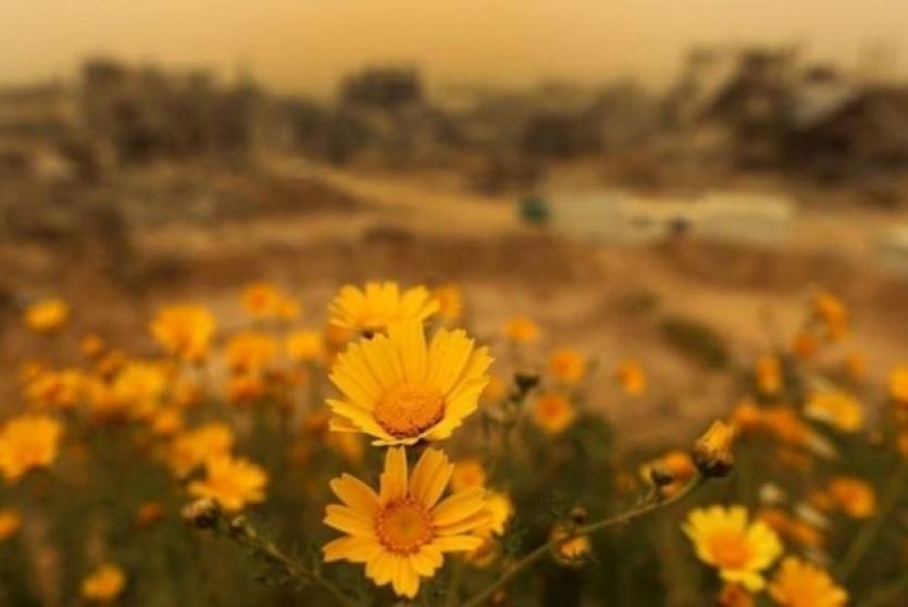 الطقس: الحرارة أعلى من معدلها السنوي